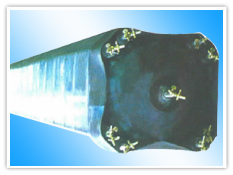 �˽��γ��оģ